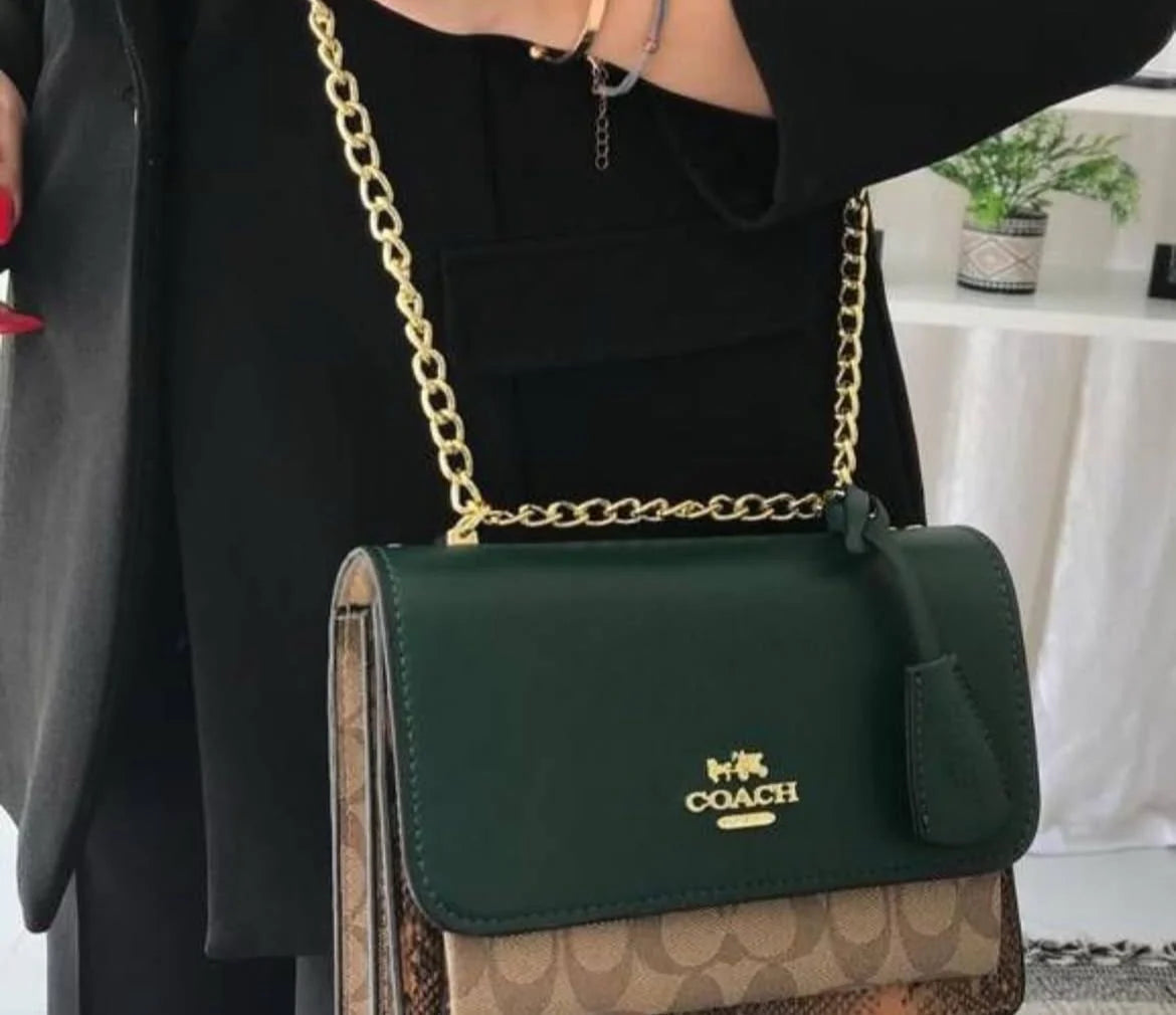 Coach Green-Brown New Leather Bag Stylist Daily Use Hand-Bag CO-4453-WBG